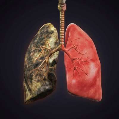 Вплив куріння на дихальну систему