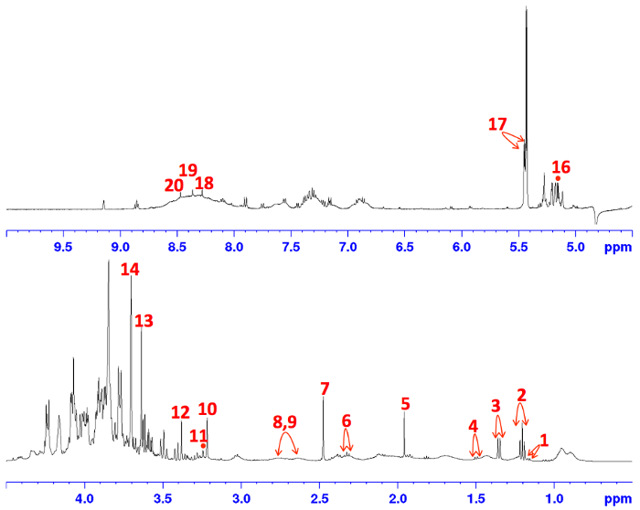 Малюнок 2: Представник 1 H-NMR спектр всього регіону aquafaba