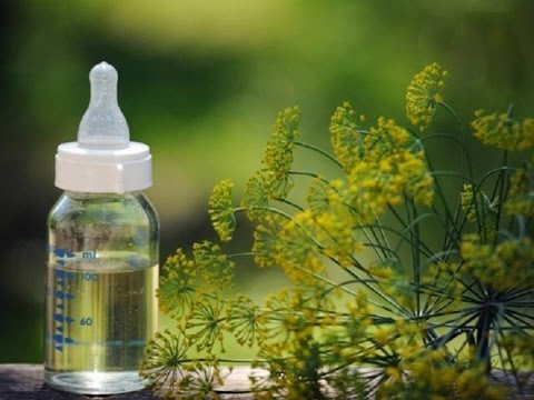 Кропова вода: задоволення не тільки для немовлят