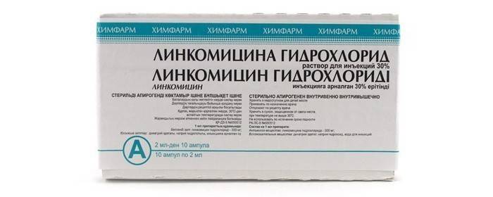 внутрішньом'язово - по 600 мг дорослим двічі на добу і по 10-20 мг дітям з розрахунку на 1 кг ваги;   внутрішньовенно - до 3 разів щодня по 600 мг, розводячи 250-300 мл розчину глюкози або хлориду натрію