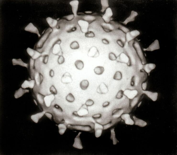 ротавірус