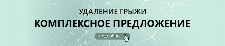 З огляду на нещільного прилягання волокон і відбувається випадання органів з утворенням грижового мішка