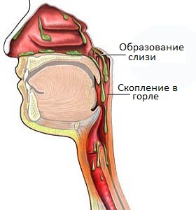 У нормі, поверхня ротоглотки і носоглотки людини вистелена слизовою оболонкою, функцією якої є вироблення слизового секрету