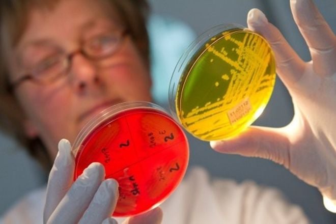 Масові спалахи інфекції вже зафіксували в Харківській, Миколаївській та Волинській областях