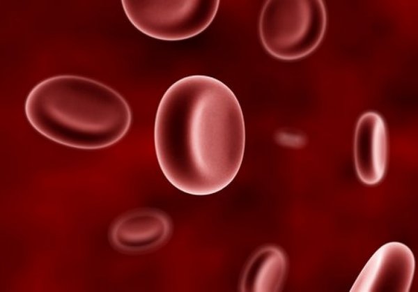 Експерти з Американського хімічного товариства зуміли ідентифікувати ферменти, які зможуть ефективно перетворювати другу і третю групи крові в першу