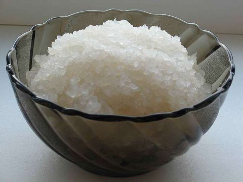 чайний гриб