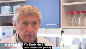 Володимир Голанах, Фото: ЧТ24   - Це дійсно так, на відновлення стовбуровими клітинами сподіваються не тільки люди з пошкодженою рогівкою ока, але і з іншими захворюваннями