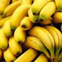 Банани - популярні тропічні плоди, культивовані у багатьох країнах світу