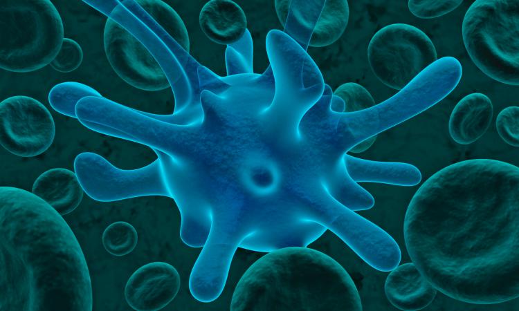 Хламідіоз у чоловіків викликає бактерія Chlamydia trachomatis (хламідія)