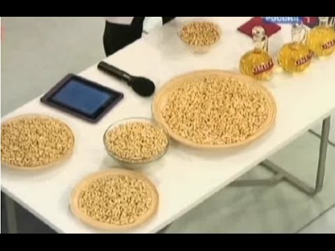 Кешью горіх - користь і шкода, калорійність і склад