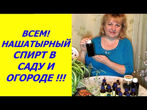 Нашатирного спирту ДЛЯ САДУ ТА ГОРОДУ