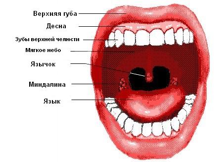 Профілактичні заходи, що підтримують здоров'я не завадять