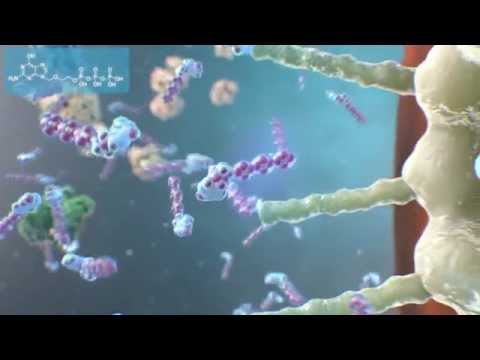Вірус простого герпесу 3D-анімація