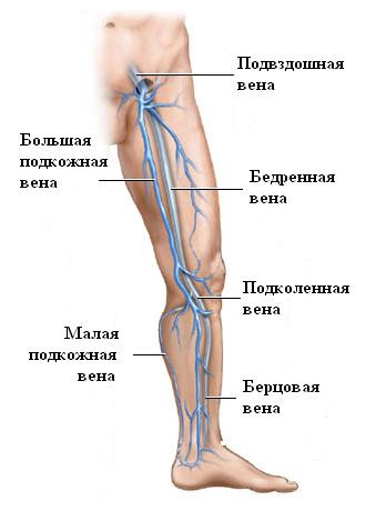 Закупорка декількох, аж до трьох, глибоких вен гомілки, в разі збереження нормальної функції інших вен, не викликає значущих порушень венозного кровотоку з кінцівки, що обумовлює відсутність вираженої клініки і, як наслідок, дана патологія може бути зовсім не діагностована