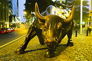 Незважаючи на те, що останнім часом оптимістичні прогнози для американської економіки і ринку акцій стали великою рідкістю, журнал Forbes зміг знайти на Уолл-стріт справжніх биків   Photostogo