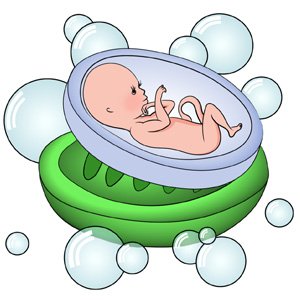 За розмірами малюка можна порівняти зі звичайним шматочком мила, він би легко помістився на вашій долоні