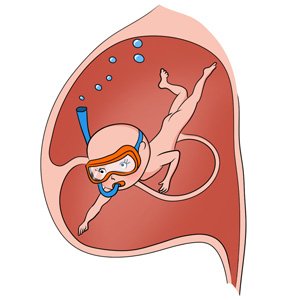 З'явився примітивний вестибулярний апарат, який допомагає дитині орієнтуватися в просторі