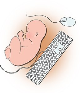 Малюк готується до самостійного життя, адже приблизно через місяць він з'явиться на світ
