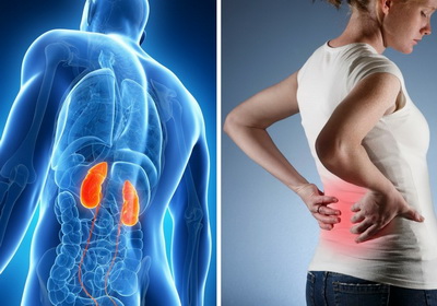 Якісне лікування нирок проводиться в багатопрофільній клініці СПб «Medical Center Gevdi»