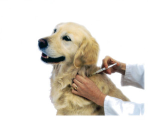 21 Мар