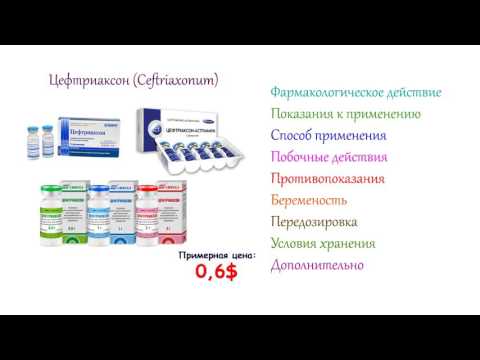 Ось чому для уникнення небажаних побічних ефектів з боку серця ветеринари віддають перевагу 0,5% розчину новокаїну