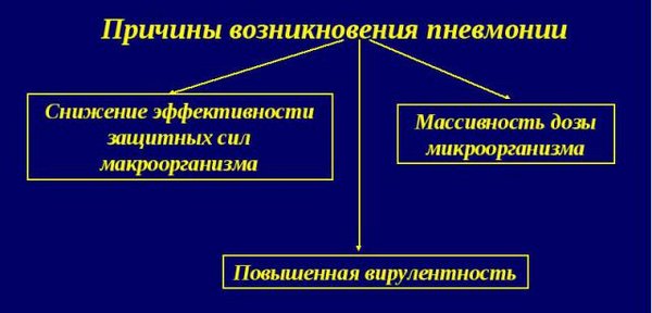 Двостороння пневмонія у дорослого або дитини є досить важкою легеневою патологією, при якій відбувається ураження обох легень