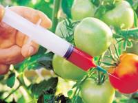 У сучасному світі генномодифіковані продукти вивчені слабко