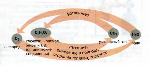 Схема 8