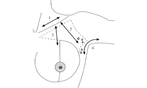 2)