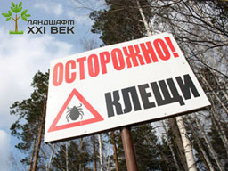 Кліщі - це кровоссальні павукоподібні комахи, яких налічується близько 48 тисяч видів, з них близько 480 видів є паразитами