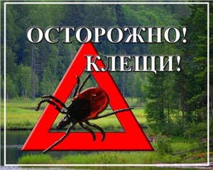 У зв'язку з теплою зимою і ранньою весною, іксодові кліщі також раніше звичайних термінів активізувалися і в даний час ветеринарні клініки переповнені укушеними кліщами тваринами