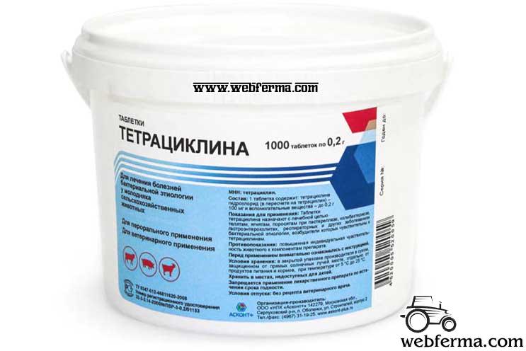 Іноді в окремих курчат може розвиватися гострий перебіг орнітозу з симптомами, характерними для інших видів птахів