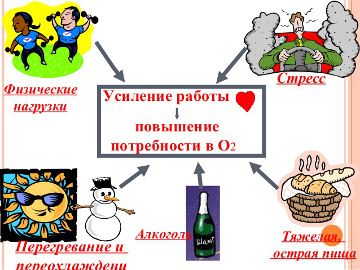 Причини стенокардії - фактори, що спровокували розвиток хвороби, ускладнення якої можуть призвести до незворотних процесів в організмі
