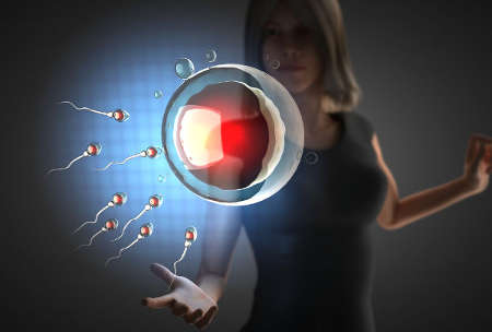 фолікулярна - 0,33-2,23 нмоль / л;   овуляторная - 0,48-9,41 нмоль / л;   лютеиновая - 6,99-56,63 нмоль / л