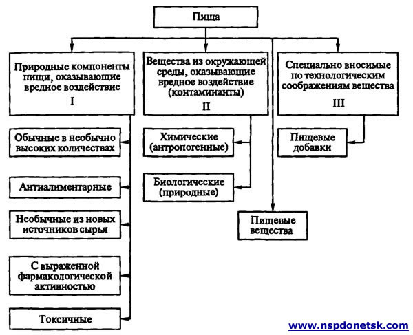Компоненти їжі - графічна класифікація