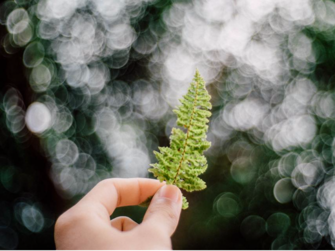 Автор: Михайло Хецуріані, медичний редактор   Де відпочити влітку в Україні, а головне, прийти в себе, підлікуватися, подихати, попити, побігати