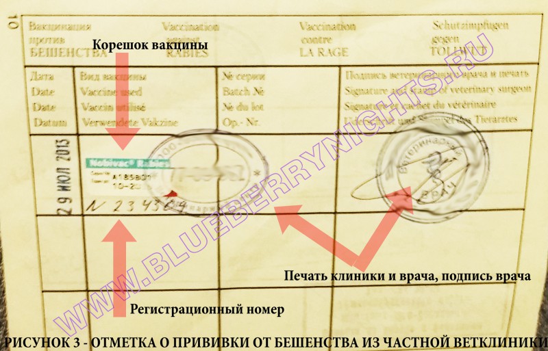 Слід також пам'ятати, що офіційний карантин після вакцинацій, а також ревакцинаций становить 1 місяць - це той період, в який ви не зможете отримати довідку на виїзд або на відвідування виставки