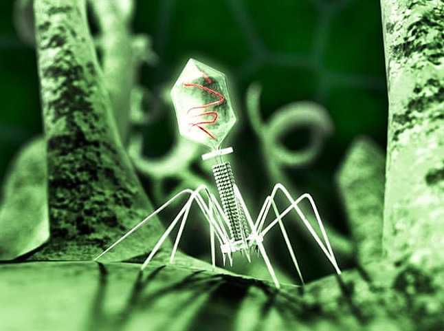 Така собі переносна флешка, яка сама по собі нічого не означає, і для зчитування інформації їй потрібен комп'ютер