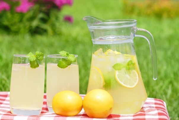 Він також стимулює викид жовчі, як і всі продукти з яскраво вираженим кислим смаком