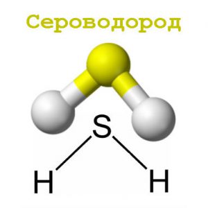 Сірководень є газом, утворення якого відбувається через розкладання білка при функціонуванні анаеробних організмів - бактерій