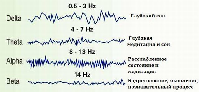 під час неспання враховуються бета-хвилі - швидкі коливання з високою амплітудою;   в стані відпочинку або медитації, коли у пацієнта закриті очі, але він не спить, фахівець фіксує альфа-хвилі;   дельта-хвилі визначаються під час глибокої фази сну;   тета-хвилі з'являються під час засипання, коли людина ще і не спить, але вже не спить
