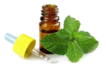 Ефірна олія перцевої м'яти містить ментол і його ефіри, розширює судини, виступає в ролі спазмолитика, підсилює скоротність кишечника і шлунка, допомагаючи боротися зі здуттям живота