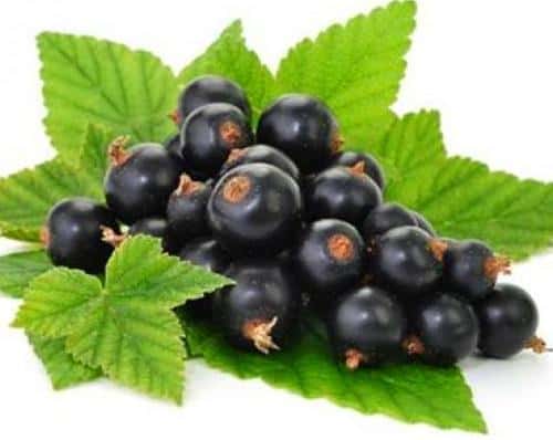 На цей період також рекомендується утриматися від статевого контакту