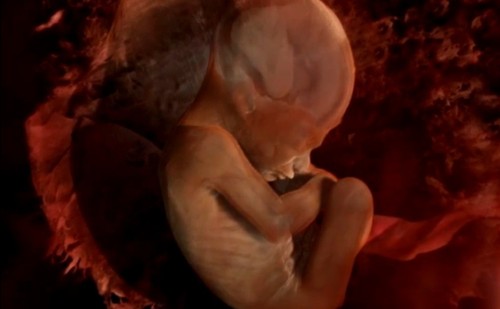 Крім того, склад вод також залежить від терміну вагітності, адже в різні періоди розвитку крихті потрібні різні речовини