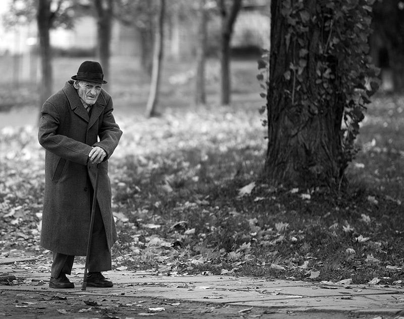 Опорно-руховий апарат з віком набуває суттєві зміни, так найбільші структурні зміни спостерігаються в кістках літніх людей