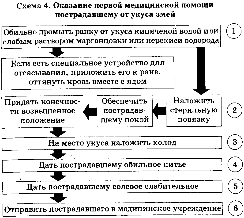 Перша допомога при укусі змії