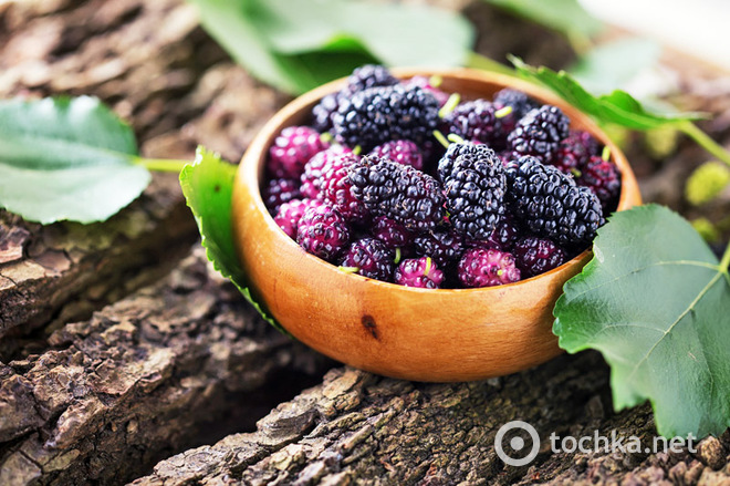 Овочі, фрукти та ягоди червня: користь і рецепти