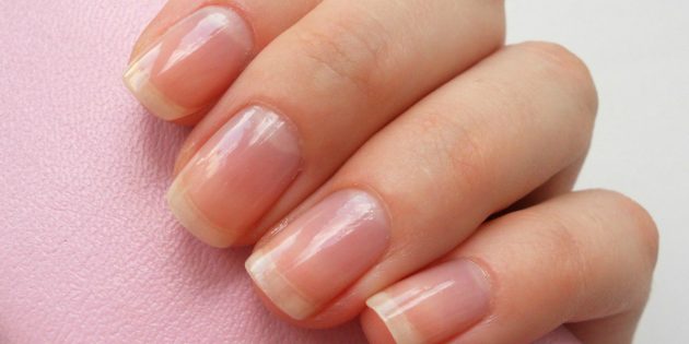 При цьому нігтьова пластина постійно оновлюється, відростив за тиждень приблизно на один міліметр
