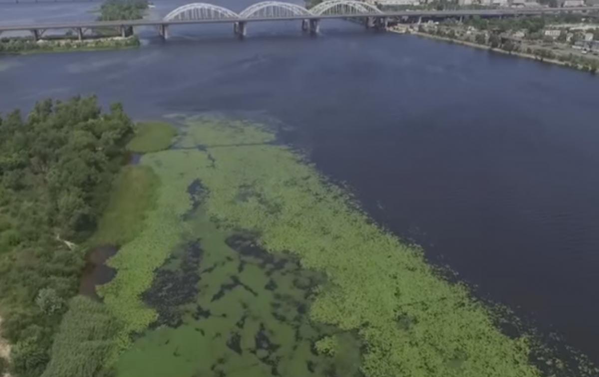 Дніпро не вмирає, він де-факто мертвий, оскільки втратив здатності до самоочищення, - говорить еколог, доктор технічних наук Євген Яковлєв