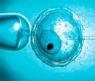 Отриманий ембріон витримують кілька днів в інкубаторі, а потім переносять в порожнину матки